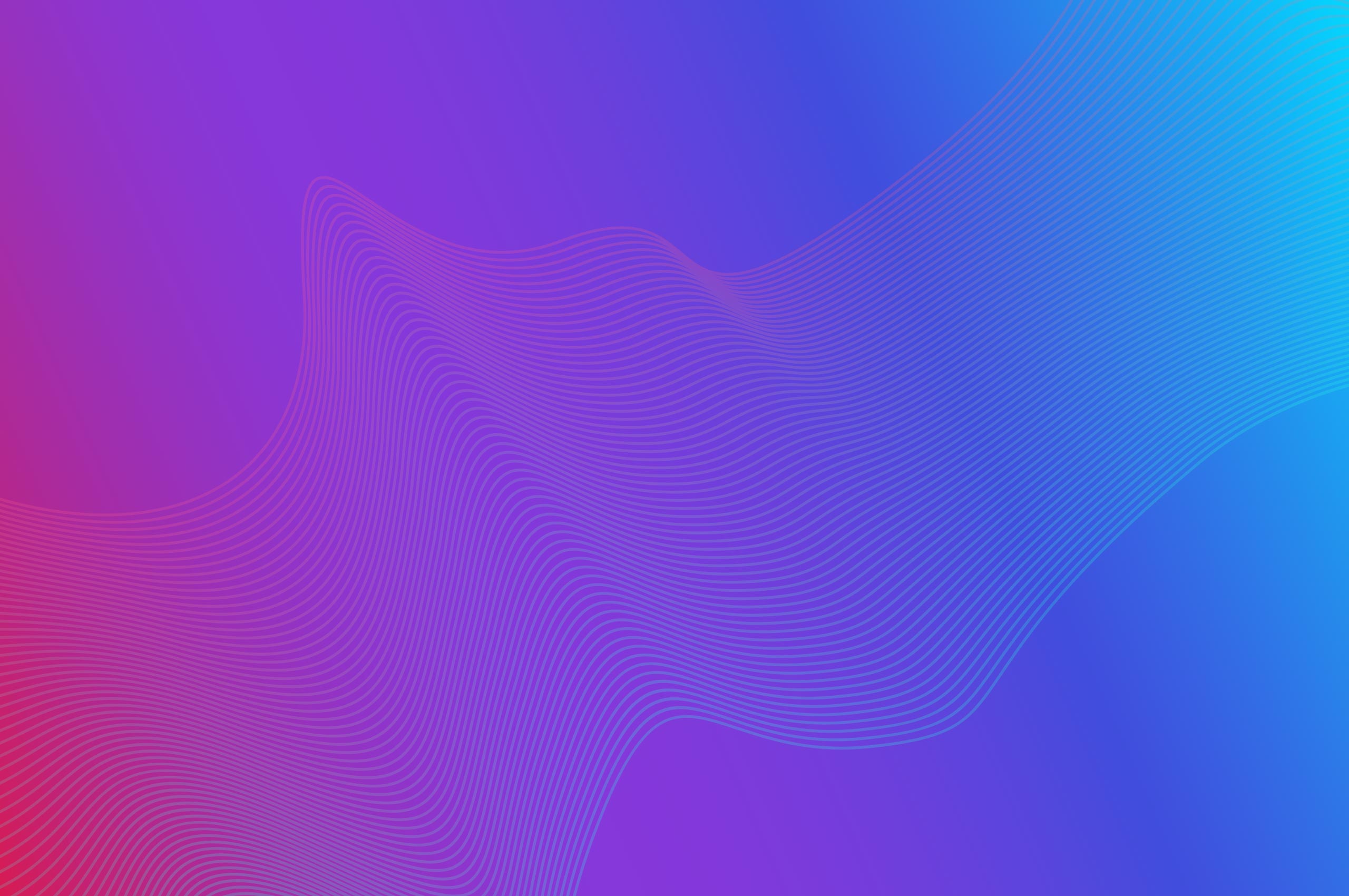 National Grand Final 2025 Pitch Winners Crowned