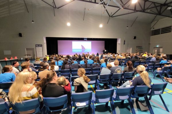 20210624_182047 - Copy